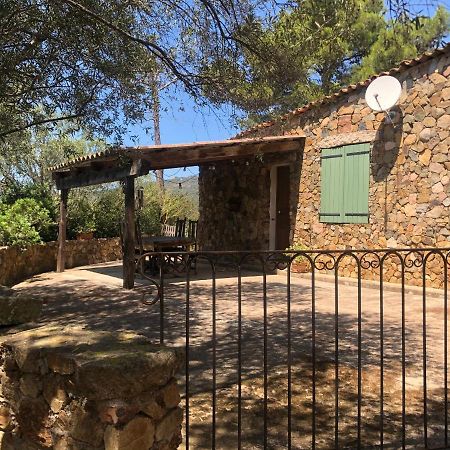 Maison De Campagne Sarragia Dış mekan fotoğraf