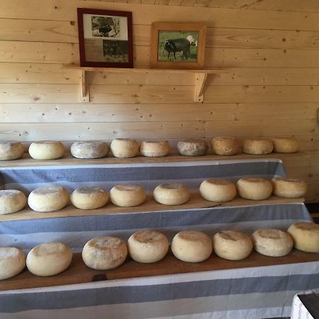 Maison De Campagne Sarragia Dış mekan fotoğraf