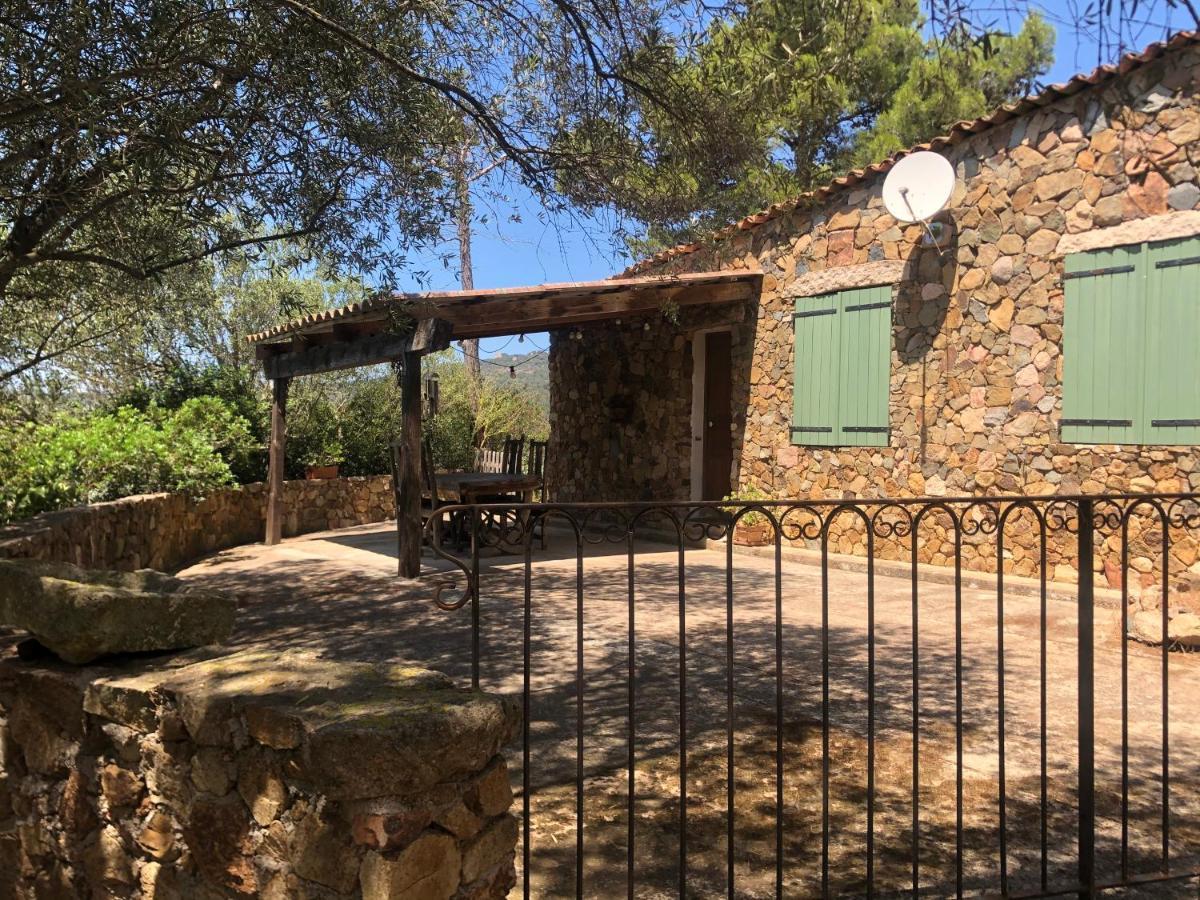 Maison De Campagne Sarragia Dış mekan fotoğraf