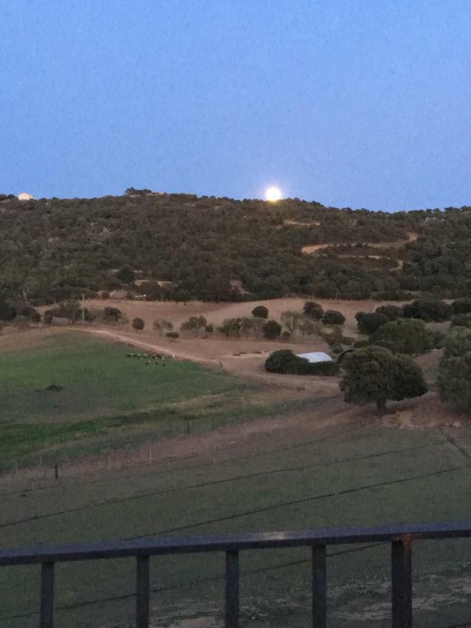 Maison De Campagne Sarragia Dış mekan fotoğraf